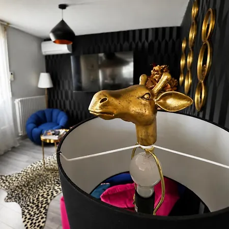 Daire Cozy & Fun Near Ol, Arena, Eurexpo & Lyon *